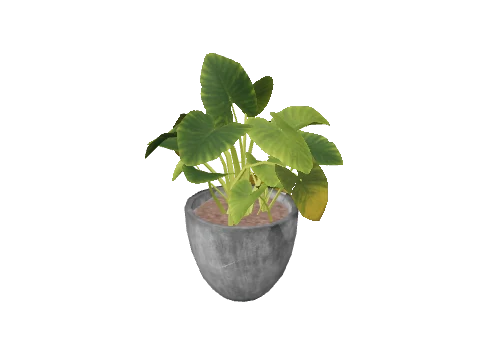 h4_prop_int_plants_01c