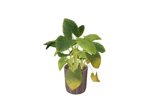 h4_prop_int_plants_02