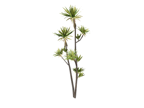 h4_prop_tree_dracaena_sml_01