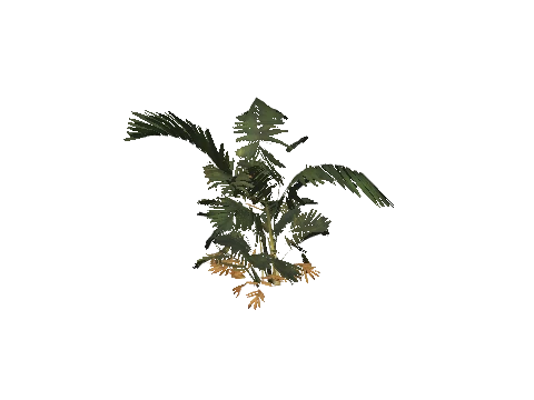 h4_prop_tree_palm_areca_sap_03