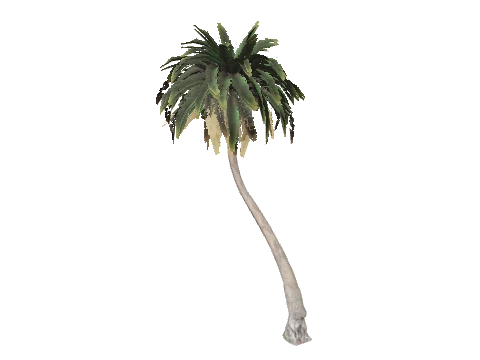 h4_prop_tree_palm_fan_bea_03b