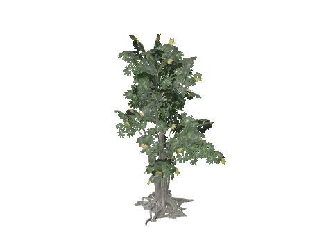h4_prop_tree_umbrella_sml_01