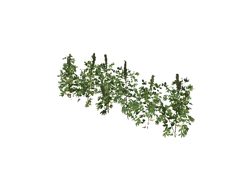 h4_prop_weed_01_row