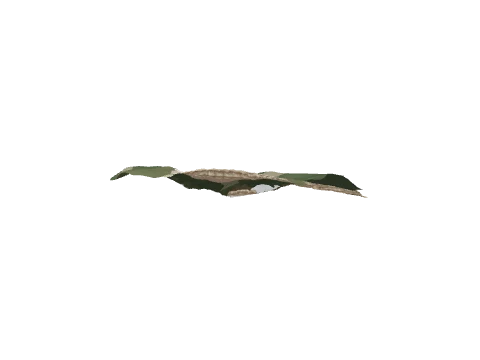 hei_ch1_09_land_01, a GTA V map model