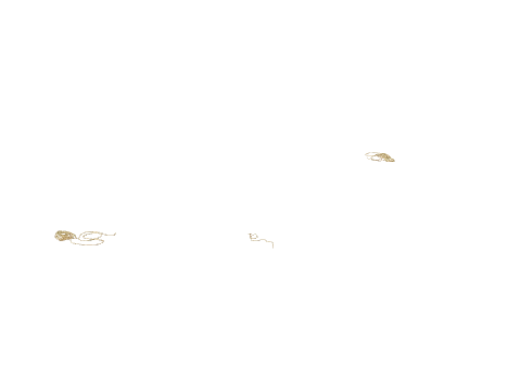 hei_ch1_yacht_rope, a GTA V map model