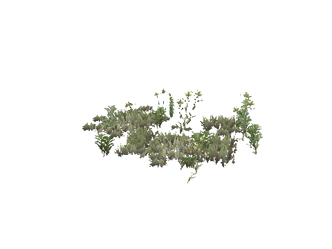 hei_prop_hei_new_plant
