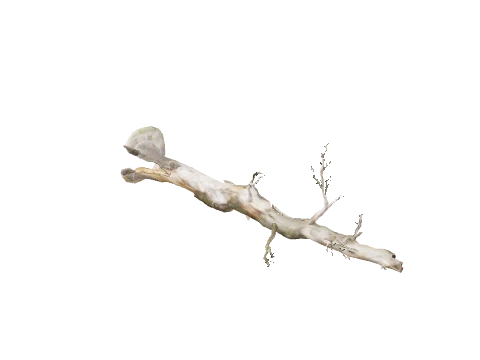 hei_prop_hei_tree_fallen_02