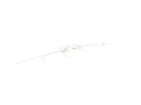 hw1_27_ndec2, a GTA V map model