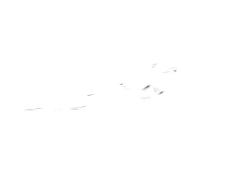 hw1_rd_02_08_ovly, a GTA V map model