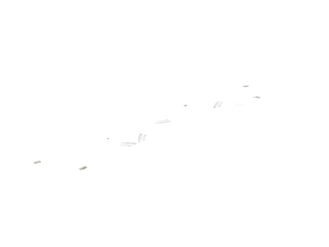 hw1_rd_04_17_ovly, a GTA V map model
