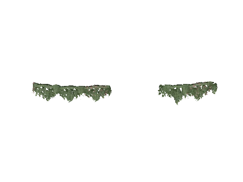 id2_12_1d2_00g_ivy01, a GTA V map model