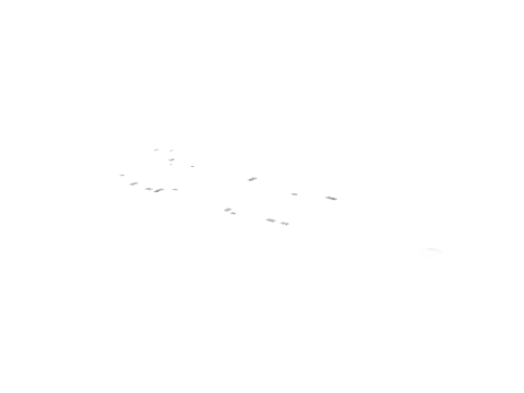 kt1_rd_02_r4e_ovly, a GTA V map model