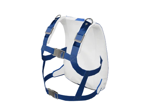 lts_p_para_bag_lts_s