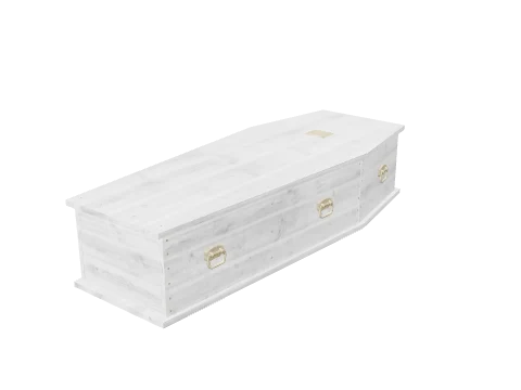 m23_1_prop_m31_coffin_01a