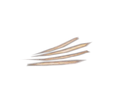 m23_2_prop_m32_clawmark_01a