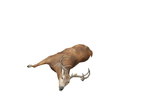 m23_2_prop_m32_deercarcass_01a