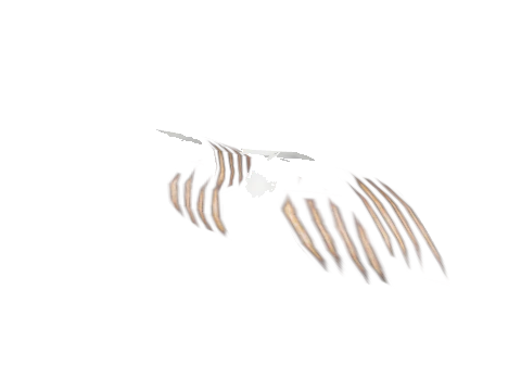 m23_2_prop_m32_tree_marks_01a