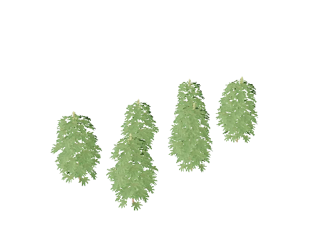 m25_1_prop_m51_weed_set_01a