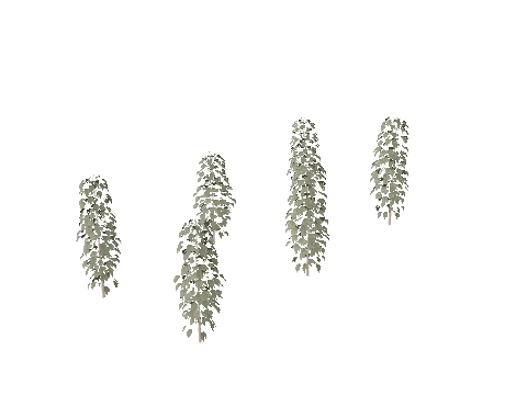 m25_1_prop_m51_weed_set_02a