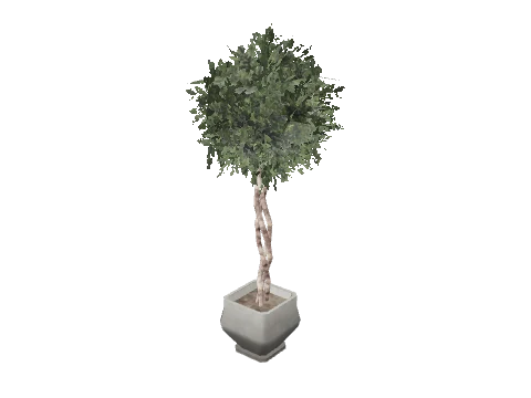 m25_2_prop_m52_art_plant_01a