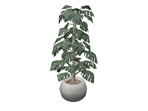 m25_2_prop_m52_art_plant_03a