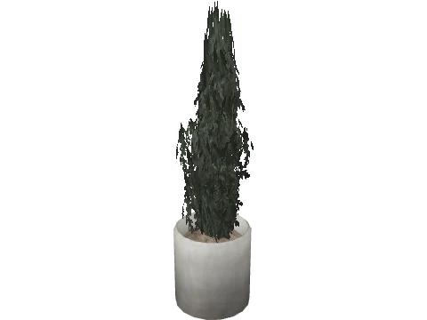 m25_2_prop_m52_art_plant_04a