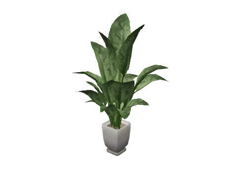 m25_2_prop_m52_art_plant_05b
