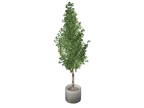 m25_2_prop_m52_art_plant_06a