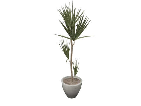 m25_2_prop_m52_art_plant_07a