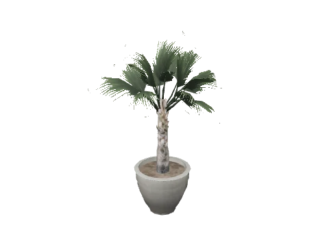 m25_2_prop_m52_art_plant_09a