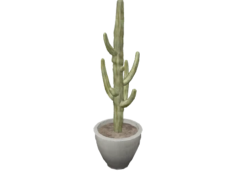 m25_2_prop_m52_art_plant_10a