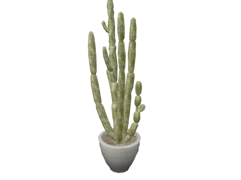 m25_2_prop_m52_art_plant_12a