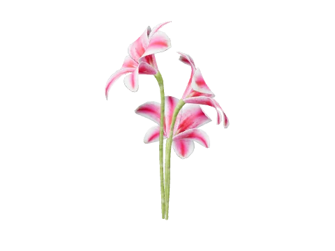 m25_2_prop_m52_giantflower_01a