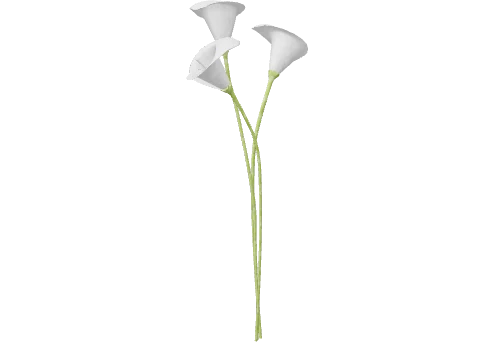 m25_2_prop_m52_giantflower_02a