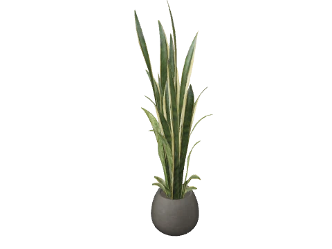 m25_2_prop_m52_plant_tall_01a