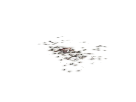 ng_proc_brkbottle_02g, a GTA V map model
