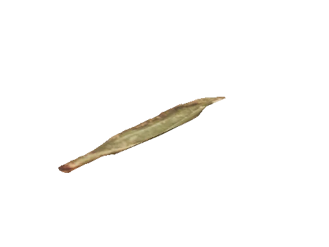 ng_proc_leaves01, a GTA V map model