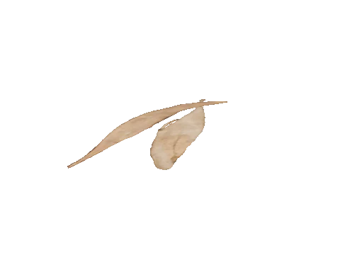 ng_proc_leaves02, a GTA V map model