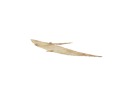 ng_proc_leaves04, a GTA V map model
