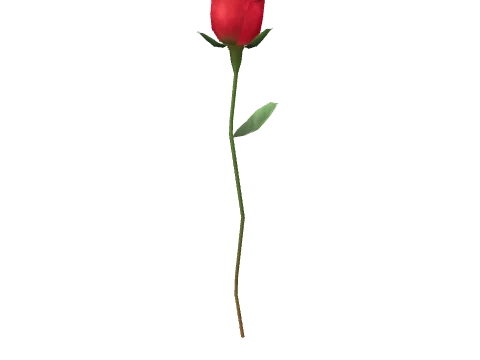 p_single_rose_s