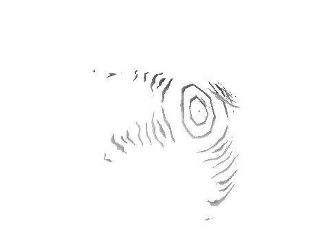 p_wboard_clth_s