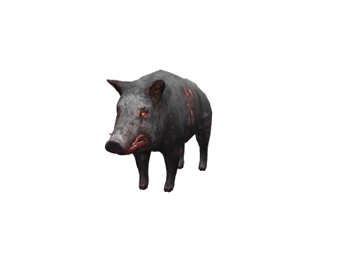a_c_boar_02