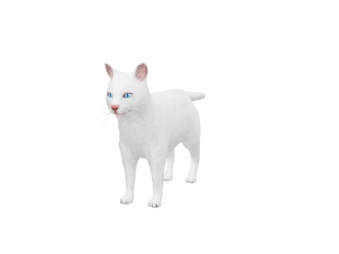 a_c_cat_02
