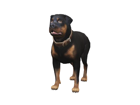 a_c_chop