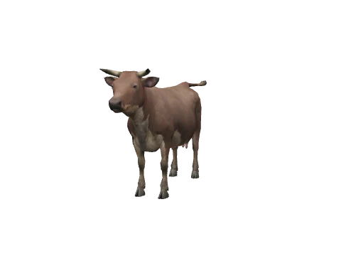 a_c_cow