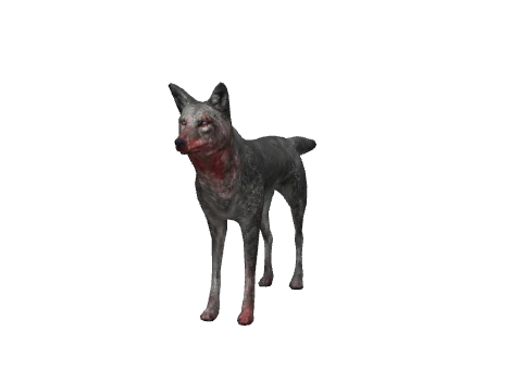 a_c_coyote_02