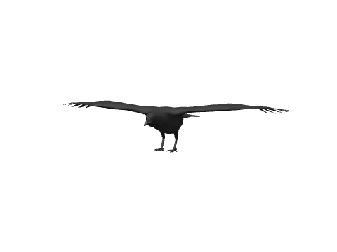 a_c_crow