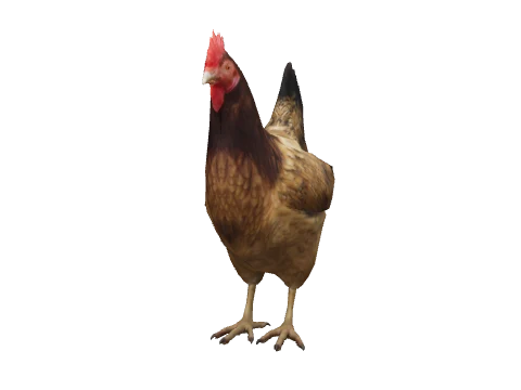 a_c_hen