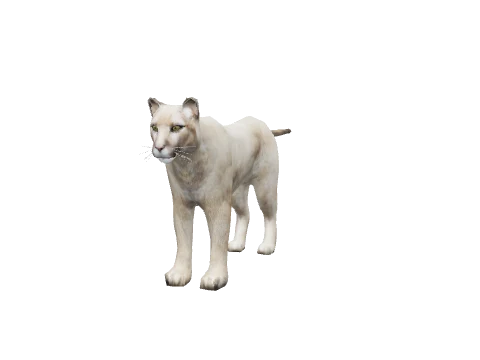 a_c_mtlion