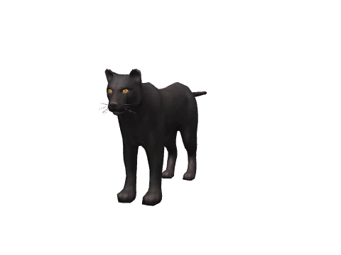 a_c_panther